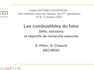 Les combustibles du futur : dÃ©fis, solutions, et objectifs ... - gedepeon