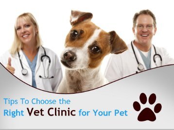 Tips to Choose Emergency Vet in Wentzville, MO