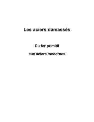 Les aciers damassÃ©s - Presses des Mines