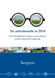 De arbeidsmarkt in 2016 (Aequor)