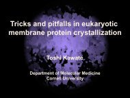 Tricks and pitfalls in eukaryotic membrane ... - Cornell University