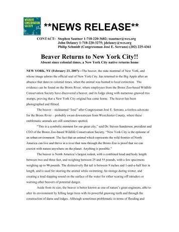 Beaver Returns to New York City - Bronx River Alliance