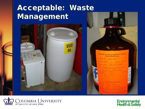 Chemical/Hazardous Waste Management (Nevis) - Environmental ...