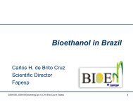 Bioethanol in Brazil - APEC Biofuels
