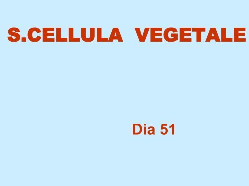 Cellula vegetale