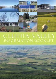 CLUTHA VALLEY - Clutha District Council