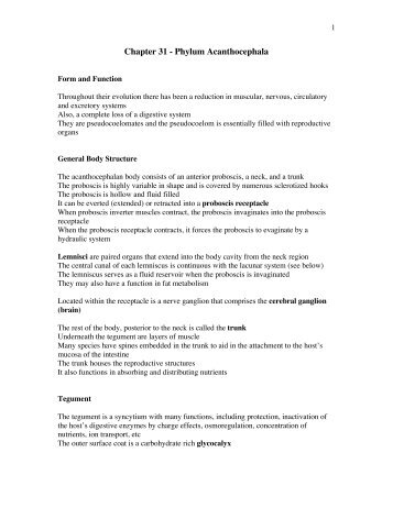 Chapter 31 - Phylum Acanthocephala