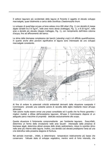 Perizia - Relazione tecnica - Comune di Orbetello