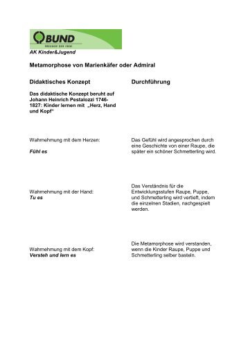 Metamorphose von Marienkäfer oder Admiral ... - BUND Konstanz