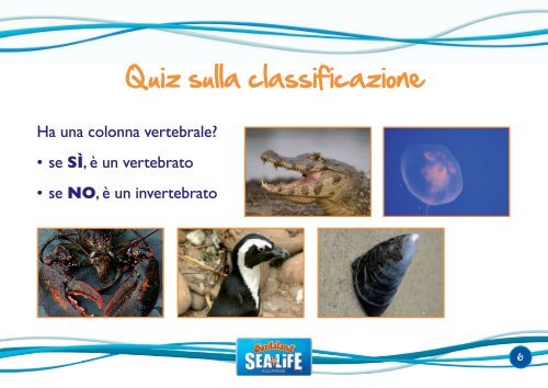 Classificazione e varietà delle specie