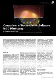 Comparison of Deconvolution Software in 3D Microscopy