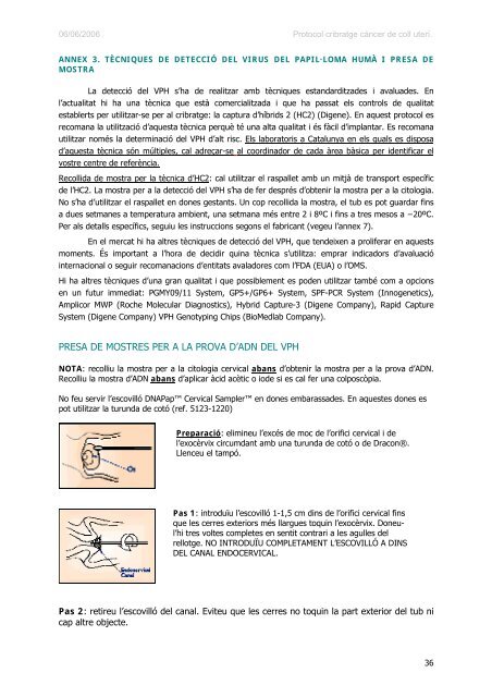 protocol de les activitats per al cribratge del cÃ ncer de coll uterÃ­ a l ...