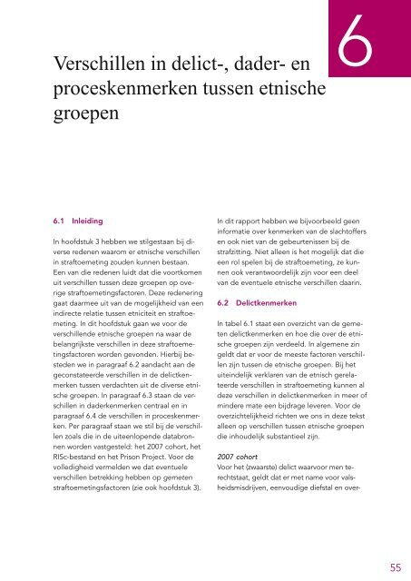 Etnisch gerelateerde verschillen in de straftoemeting.pdf