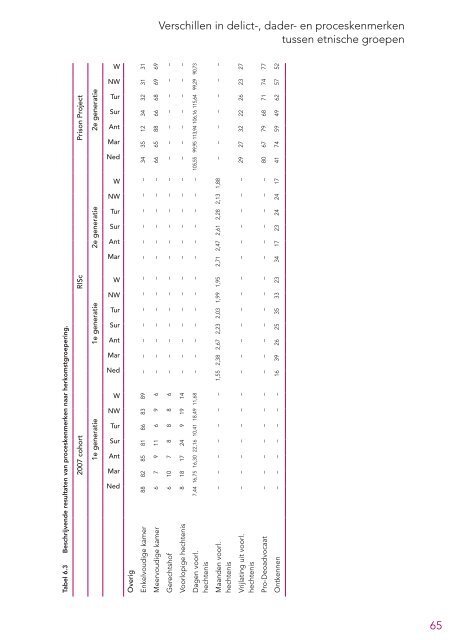 Etnisch gerelateerde verschillen in de straftoemeting.pdf