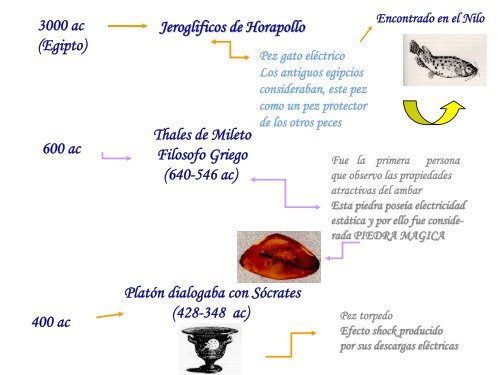 Historia de la ElectroquÃ­mica - Facultad de Ciencias-UCV