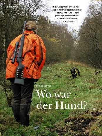 Wo war der Hund? - beim Verein für Deutsche Wachtelhunde