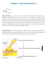 Sinapse e Neurotransmissores