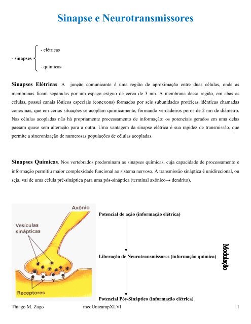 Sinapse e Neurotransmissores