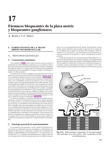 Fármacos bloqueantes de la placa motriz y bloqueantes ... - sisman