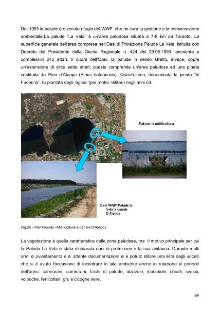 Ricerca Corso Tecnico dell'Ambiente - Scuola Edile Taranto