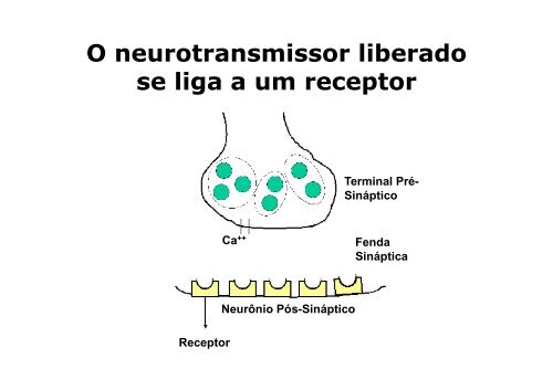 Potencial de ação