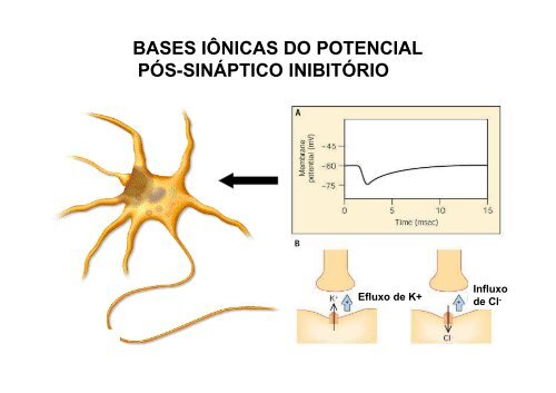 Potencial de ação