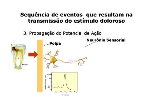 Potencial de ação