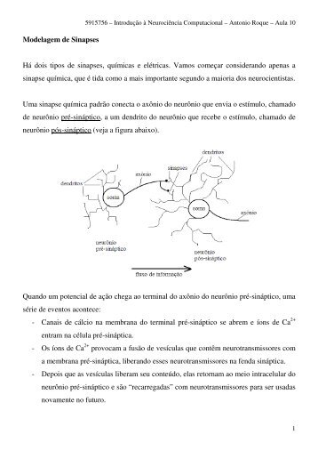 Modelagem de Sinapses Há dois tipos de sinapses ... - SisNe