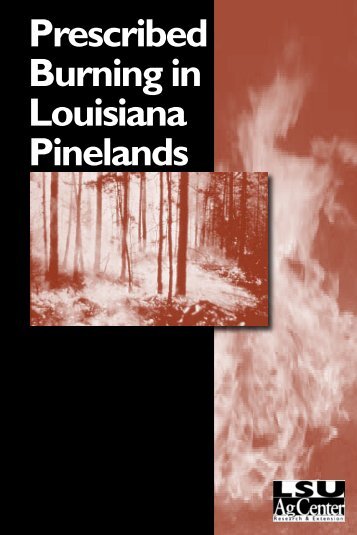 Prescribed Burning in Louisiana Pinelands - The LSU AgCenter