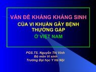 vấn đề kháng kháng sinh của vi khuẩn gây bệnh thường gặp ở việt ...