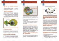 MALALTIES PEROXISOMALS BiogÃ¨nesi del peroxisoma