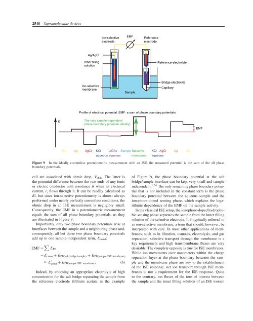 Ion-Selective Electrodes With Ionophore-Doped Sensing Membranes