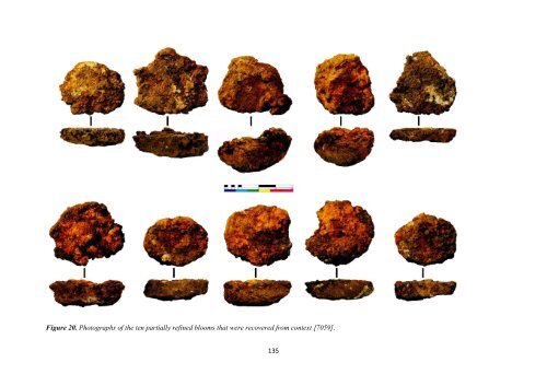 VSF 2010 Report - Nabo