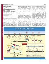 Death Receptor Signaling - Journal of Cell Science - The Company ...