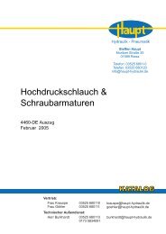 Leichte Reihe - Steffen Haupt - Hydraulik und Pneumatik