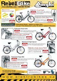 katalog elektrokolo Frisbee - Dinghi 2010 (formÃƒÂ¡t pdf ... - Rebel Bike