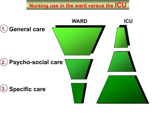 Nursing Activities Score: a tool to measure nursing workload at ...