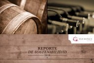 REPORTE DE SOSTENIBILIDAD - Via Wines
