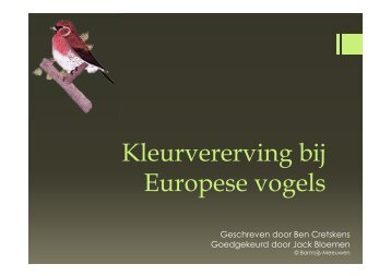 Vererving bij Europese vogels 24-04-2013.pdf - Barmsijs Meeuwen