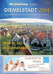 diemelstadt - WLZ/FZ-online.de
