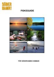 FISKEGUIDE - SÃ¶derhamns kommun