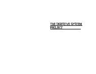 The Digestive System Project.pdf