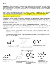 Auxin Auxins are a class of plant growth substance (often called ...