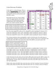 Codon Dictionary Worksheet - Pierce College