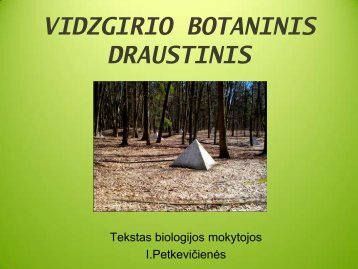 Pateiktis âVidzgirio draustinisâ