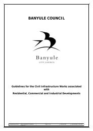BANYULE COUNCIL Guidelines for the Civil Infrastructure Works ...