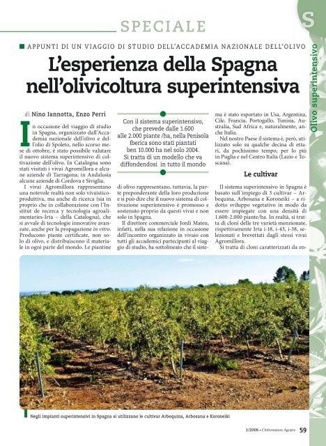 PDF (L'esperienza della spagna nell'olivicoltura superintensiva)