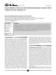 fullpaper - THE BIOSCAN