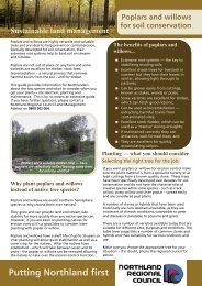 Poplars and willows FINAL 20110202.pub - Northland Regional ...