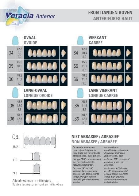 ANTERIOR & POSTERIOR VORMENKAART â¢ CARTE DE FORME